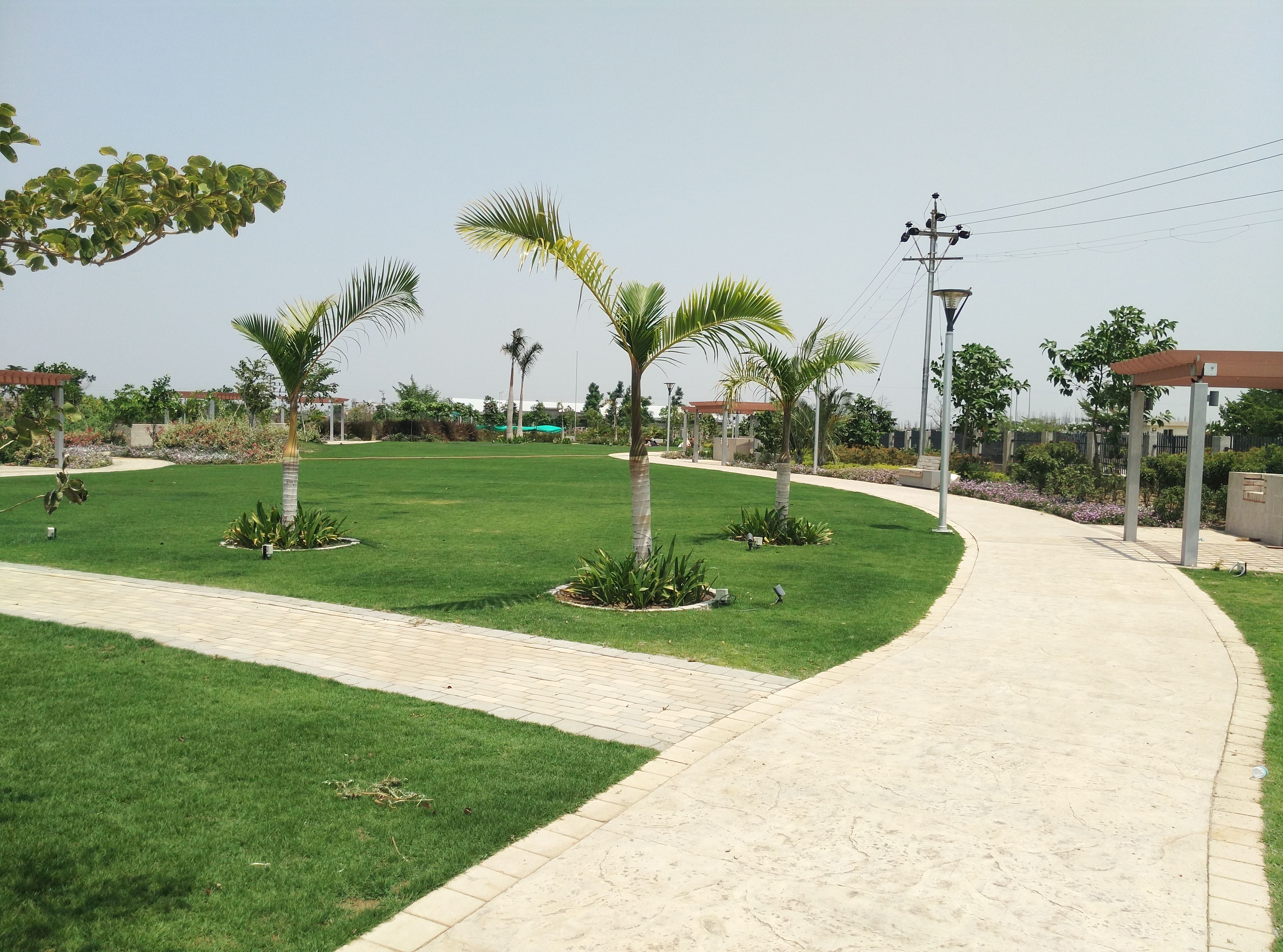 Resort Project
